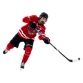 BAUER NEXUS E40 STICK SENIOR
